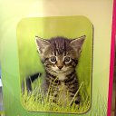 ���� �����, ������, 64 ���� - ��������� 2 �������� 2013