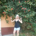 ���� ������, �����, 33 ���� - ��������� 15 ������� 2013