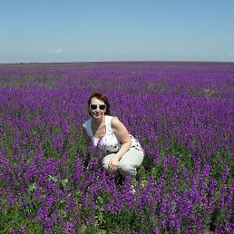 ������, �������, 62 ����