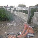 ���� ��������, �������, 66 ��� - ��������� 28 ������� 2013 � ������ ���� ����������