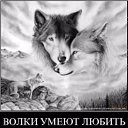 ���� Lonely Wolf, �����, 53 ���� - ��������� 31 ������� 2013 � ������ ���� ����������