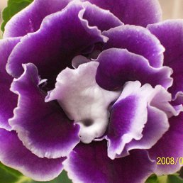 ���� ��������, ���������� �����, 76 ��� - ��������� 30 ������ 2013