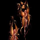 ���� ���������, �����������, 39 ��� - ��������� 11 ������ 2013 � ������ ��������� ���