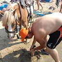 ���� ������, �������������, 40 ��� - ��������� 2 ����� 2014 � ������ ���� ����������