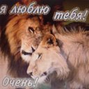 ���� Sherzod, ���������, 42 ���� - ��������� 8 ������ 2014 � ������ ���� ����������
