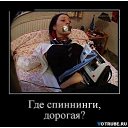 ���� ����, ����, 85 ��� - ��������� 3 ������ 2014 � ������ ��������������