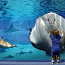 ���� Serjey, ��������, 35 ��� - ��������� 6 ������� 2013 � ������ ���� ����������