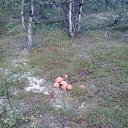 ���� �����., ��������, 52 ���� - ��������� 15 ������� 2013 � ������ ������ ������