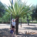 ���� ������, �����, 57 ��� - ��������� 9 ������� 2014 � ������ ���� ����������