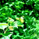 �������,������� �� ������� �������