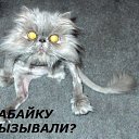 ���� _Bogdan_, ��������, 49 ��� - ��������� 17 ������� 2013 � ������ ���� ����������