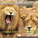 ���� �������, ����������� - ��������� 8 ������� 2013 � ������ ��������� ��������