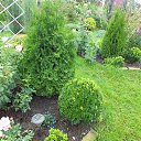 ���� ����, ������ �������� - ��������� 20 ������� 2013