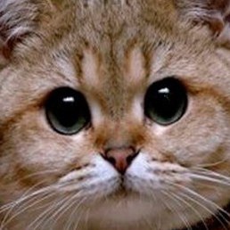 Dayana, ��������, 24 ����