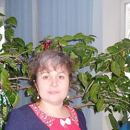 ������, �����, 57 ���