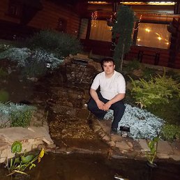 ������, �������-�����, 37 ���