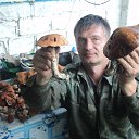 ���� ��� ���, ���������, 39 ��� - ��������� 22 �������� 2013 � ������ ������ ������߻