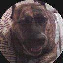 ��������� �� ������� ���� ����������