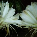 ���� �������, ����������� - ��������� 6 ������ 2013 � ������ ���� ������ ���