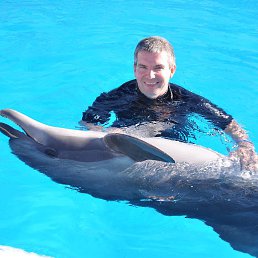 Swimming with dolphin