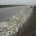 ���� ������, �������, 45 ��� - ��������� 16 ������� 2013 � ������ ���� ����������