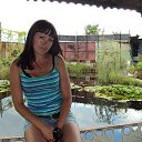 ���� ���������, �����, 33 ���� - ��������� 25 ������� 2013 � ������ ���� ����������