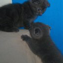 ���� ����, �����-���������, 57 ��� - ��������� 21 ������ 2014 � ������ ������ ��������