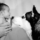 ���� ����, ��������, 22 ���� - ��������� 1 ������ 2013 � ������ ���� ����������