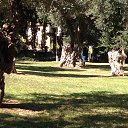 ������ ������ �����. �� ������� ���� ����������