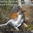 ���� ������ ����, ������ �����, 56 ��� - ��������� 1 ������� 2013 � ������ ���� ����������