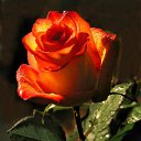 ���� ������, ������, 54 ���� - ��������� 19 ������� 2014 � ������ �������