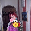 ���� �����, ����� - ��������� 8 ������� 2013 � ������ ���� ����������