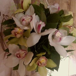 ���� �........, ������ - ��������� 12 ������ 2014