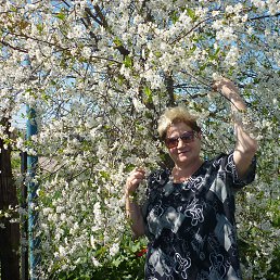 ���� ��������, ��������, 71 ��� - ��������� 22 ������ 2014