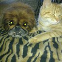 ���� ������, ������ - ��������� 3 ������� 2013 � ������ ���� ����������