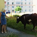 ���� �����, �������� - ��������� 24 �������� 2013 � ������ ���� ����������