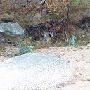  Dark    , -, 43  -  30  2013   29.09.2013