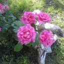 ���� ?Rjo, ������-����, 63 ���� - ��������� 8 ������ 2013 � ������ ���� ����������