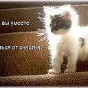 ���� ������, �������, 45 ��� - ��������� 26 ������� 2013 � ������ ���� ����������