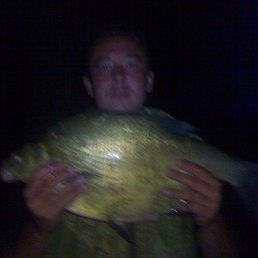 �, �������, 59 ���