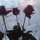...��� � ����! �� ������� ����� ��� ������������
