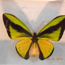 ���� Nika, ������, 56 ��� - ��������� 22 �������� 2013 � ������ ���� ����������