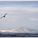 �������...


 �� ������� ��������� ������