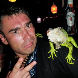 ���� ������, ����-���������, 50 ��� - ��������� 29 ������ 2013