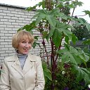 ���� �����, ���������� ����� - ��������� 4 ����� 2014 � ������ ���� ����������