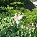 ����� ���������� �� ������� ����� ��� ������������