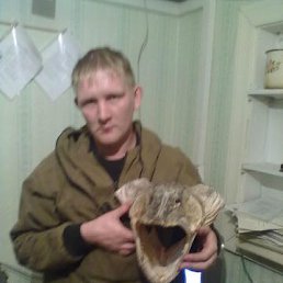 ���� ������, ������, 40 ��� - ��������� 11 ������� 2013