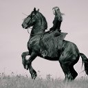 ���� �����, �����-��������� - ��������� 7 ������ 2013 � ������ ����������