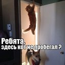 ���� ]{() � � -�]{ @, ������-��-���� - ��������� 13 ������ 2014 � ������ ���� ����������