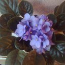 ���� �������, ������, 44 ���� - ��������� 25 ������ 2014 � ������ ���������� ������